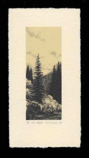 Mill Creek by Al Young