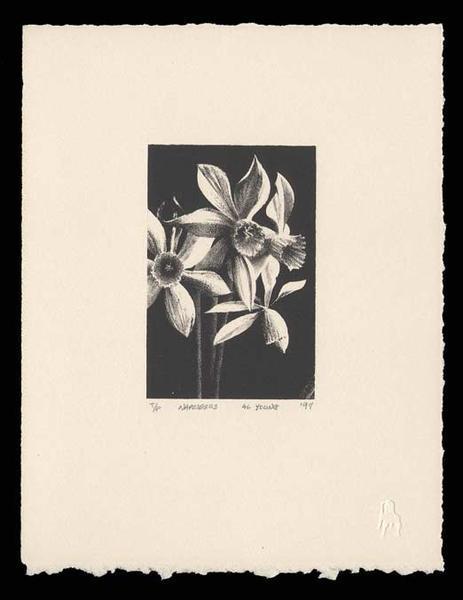 Narcissus by Al Young