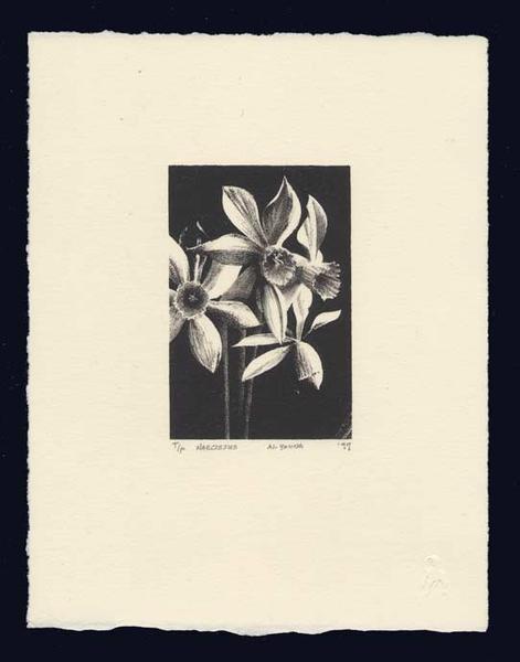 Narcissus by Al Young