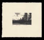 North Wood