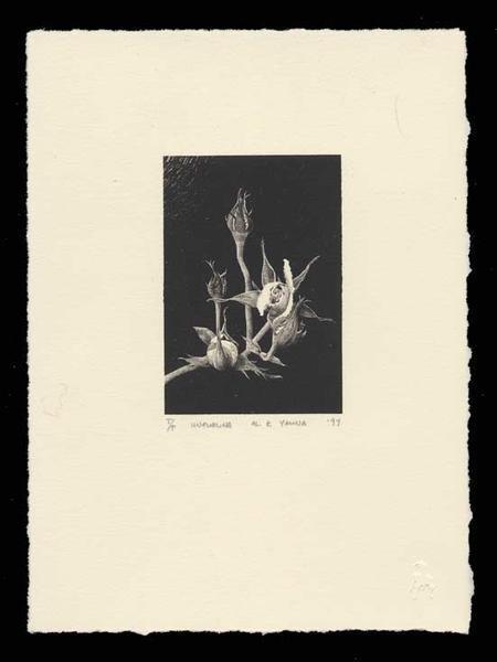 Unfurling by Al Young