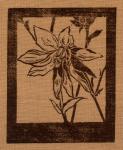 Aquilegia clematifolia - cloth printing