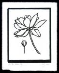Water Lily (Artist Proof)