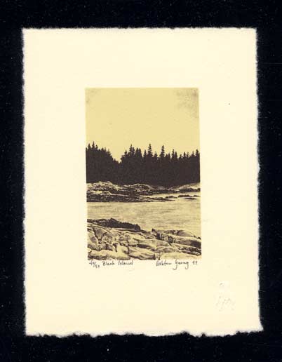 Black Island by Ashton Young