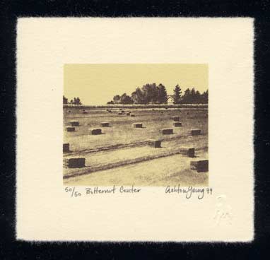 Butternet Center by Ashton Young