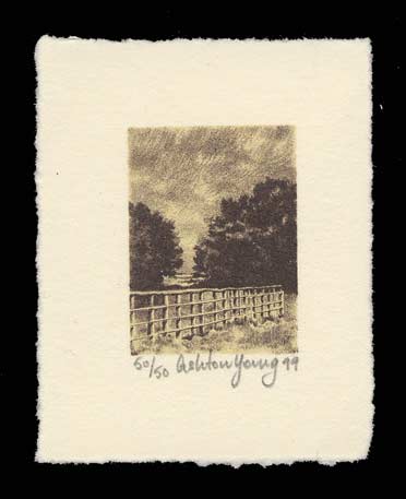 Lock Willow by Ashton Young
