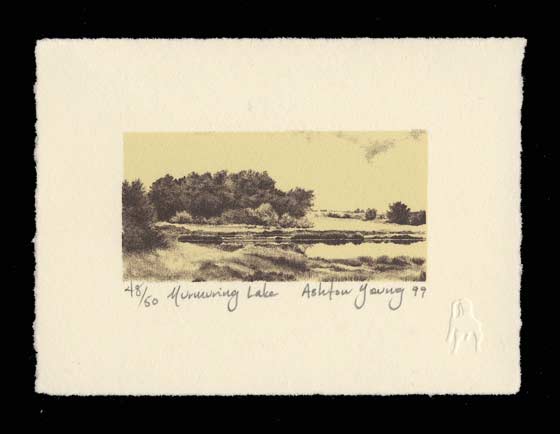 Murmuring Lake by Ashton Young