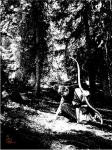 Hunting In The Forests, No. 1
