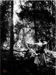 Hunting In The Forests, No. 2