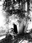 I Went To Hunt Beasts In The Forests