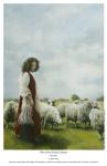 With Her Father's Sheep - 11 x 17