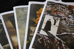 Custom Order for Single Issues of The Storybook Home Journal