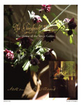 Vol. 10 No. 3 - The House of the Seven Gables