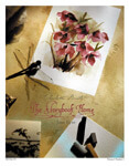 Vol. 8 No. 2 - Jane Eyre