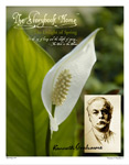 Vol. 9 No. 3 - The Delight of Spring with Kenneth Grahame