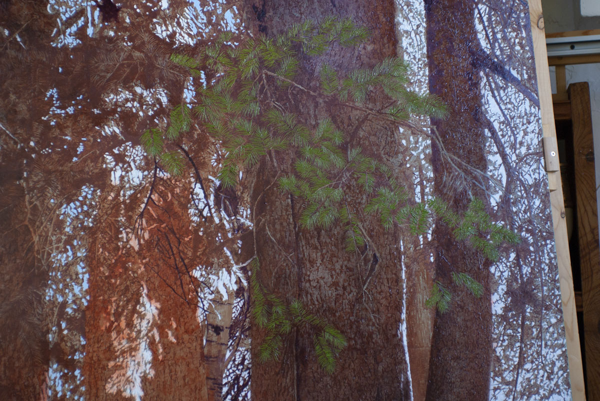 During this phase, I also painted (ala prima) foreground needles on several foreshortened branches.