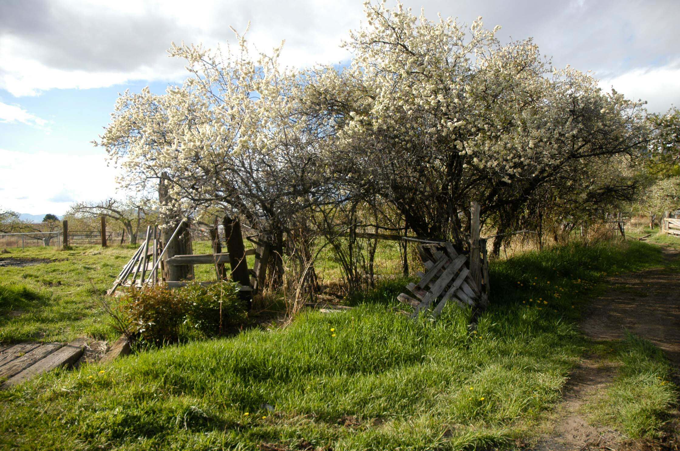 One of the many photographs from the setting for the painting.