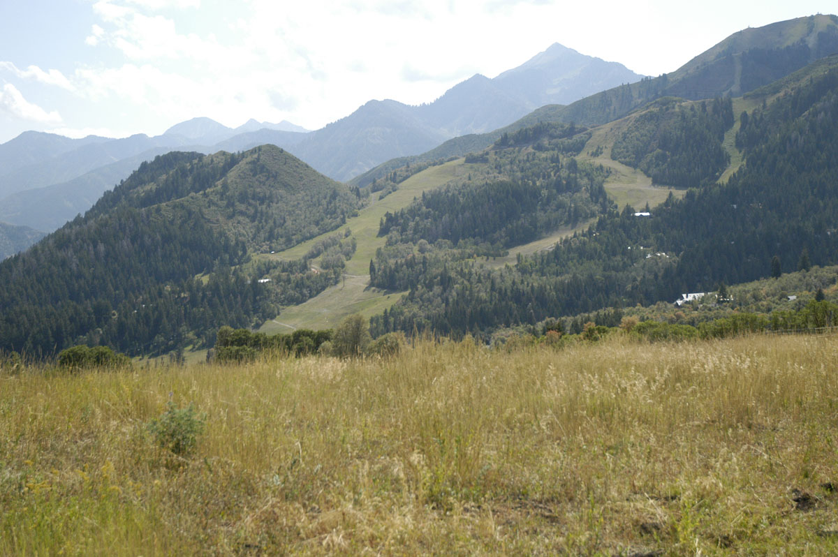 View from the residence: Ski runs at Sundance with Cascade and Provo Peaks beyond.