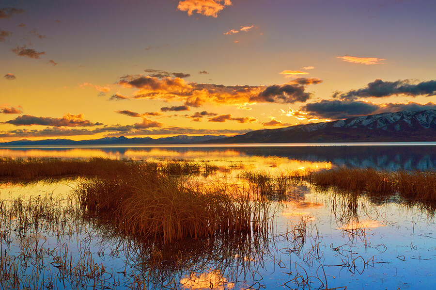 Blue Reflection