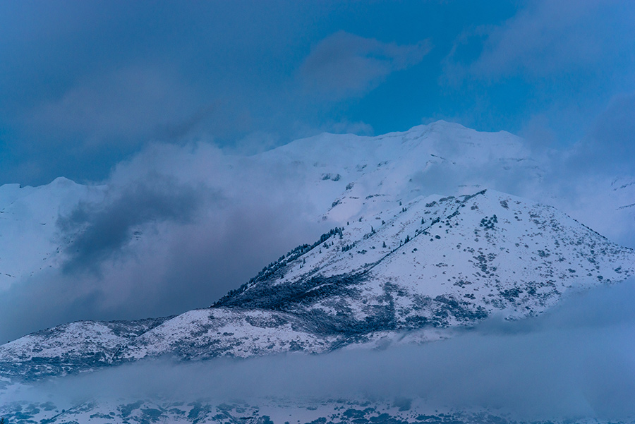 Winter Morning