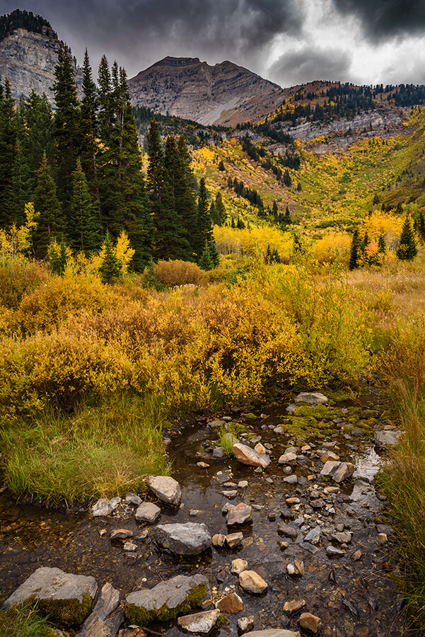 Mountain Stream