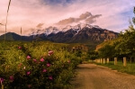 Path to the Canyon