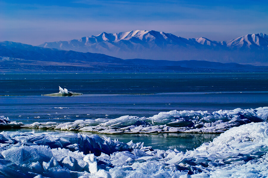 Frozen Wilderness