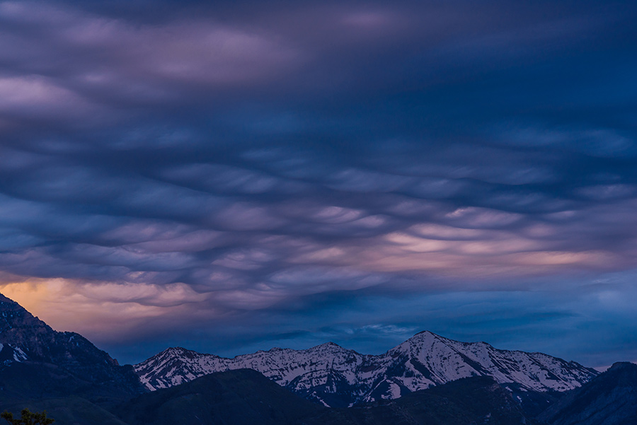 Asperitas Clouds at Dawn, I